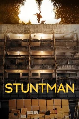 Stuntman/武替道 (2024)