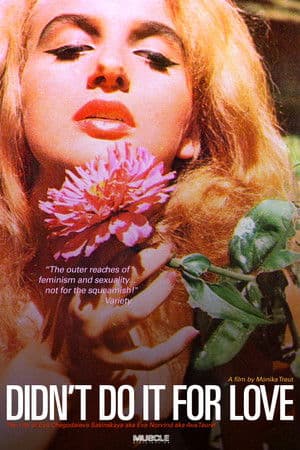 Didn’t Do It For Love (1998)